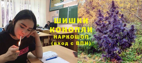 ECSTASY Алексин
