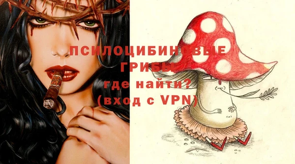 ПСИЛОЦИБИНОВЫЕ ГРИБЫ Алзамай