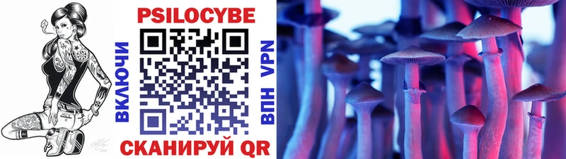 купить   Воткинск  Псилоцибиновые грибы Psilocybe 